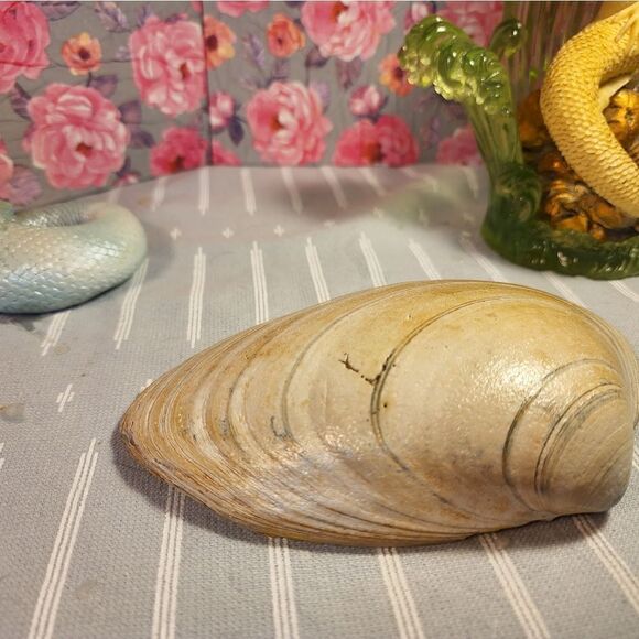 DECOUPAGE CLAM SHELL DECOUPAGE FLOWERS TRINKET DISH - Picture 11 of 11